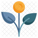 Tree Leaf Nature Icon