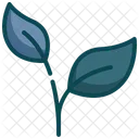 Environment Growing Sprout Icon