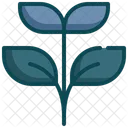 Growing Sprout Seedling Icon