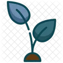 Growing Tree Seedling Icon