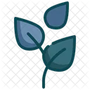 Nature Leaf Tree Icon