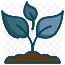 Plant Tree Leaf Icon
