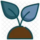 Seedling Growing Plant Icon
