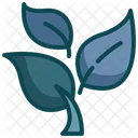 Tree Environment Nature Icon