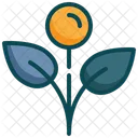 Tree Leaf Nature Icon