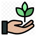 Growing Ecology Hand Icon