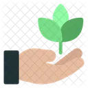 Growing Ecology Hand Icon