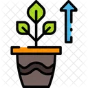 Growing Plant Growth Icon