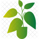 Growing Leaf Plant Plant Growth Green Leaf Icon