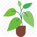 Growing Leaf Plant Plant Growth Green Leaf Icon