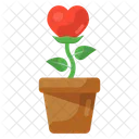 Growing Love Love Plant Valentine Plant Icon