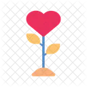 Growing Love Heart Love Heart Icon