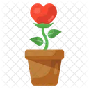 Growing Love  Icon