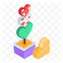 Growing Love Love Plant Heart Plant Icon