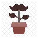 Growing mustache  Icon