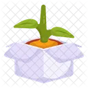 Mud Plant Sprout Growing Plant Icon