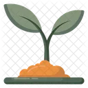 Growing Plant Ecology Nature Icon