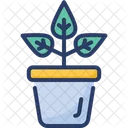 Growing Plant Sowing Gardening Icon