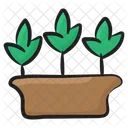 Growing Plant Eco Ecology Icon