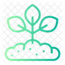 Growing Plant  Icon