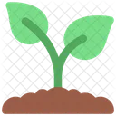 Growing Plant Agriculture Icon