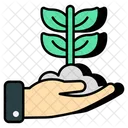 Mud Plant Sprout Growing Plant Icon