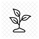 Growing Plant Icon
