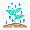 Growing Plant Progress Icon