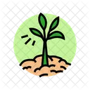 Growing Plant Progress Icon
