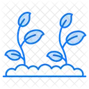 Growing Plant Plant Nature Icon