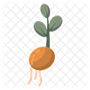 Growing Plant Ecology Nature Icon