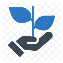 Plant Growth Plantation Icon