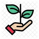 Plant Growth Plantation Icon