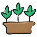 Growing Plant Eco Ecology Icon