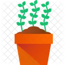 Growing Plant Growing Plant Icon