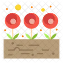 Growing Plant  Icon
