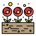 Growing Plant  Icon