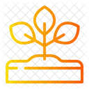 Growing Plant  Icon