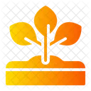 Growing Plant  Icon