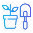 Growing Plant  Icon