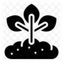 Growing Plant  Icon