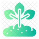 Growing Plant  Icon