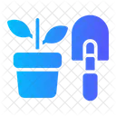 Growing Plant  Icon