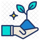 Growing Plant Sprout Icon