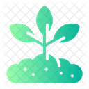 Growing Plant  Icon