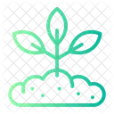 Growing Plant Plant Leaf Icon