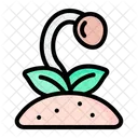 Growing Plant Grow Growing Icon