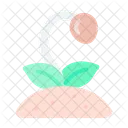 Growing Plant  Icon