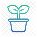 Growing Plant  Icon