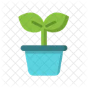 Growing Plant  Icon